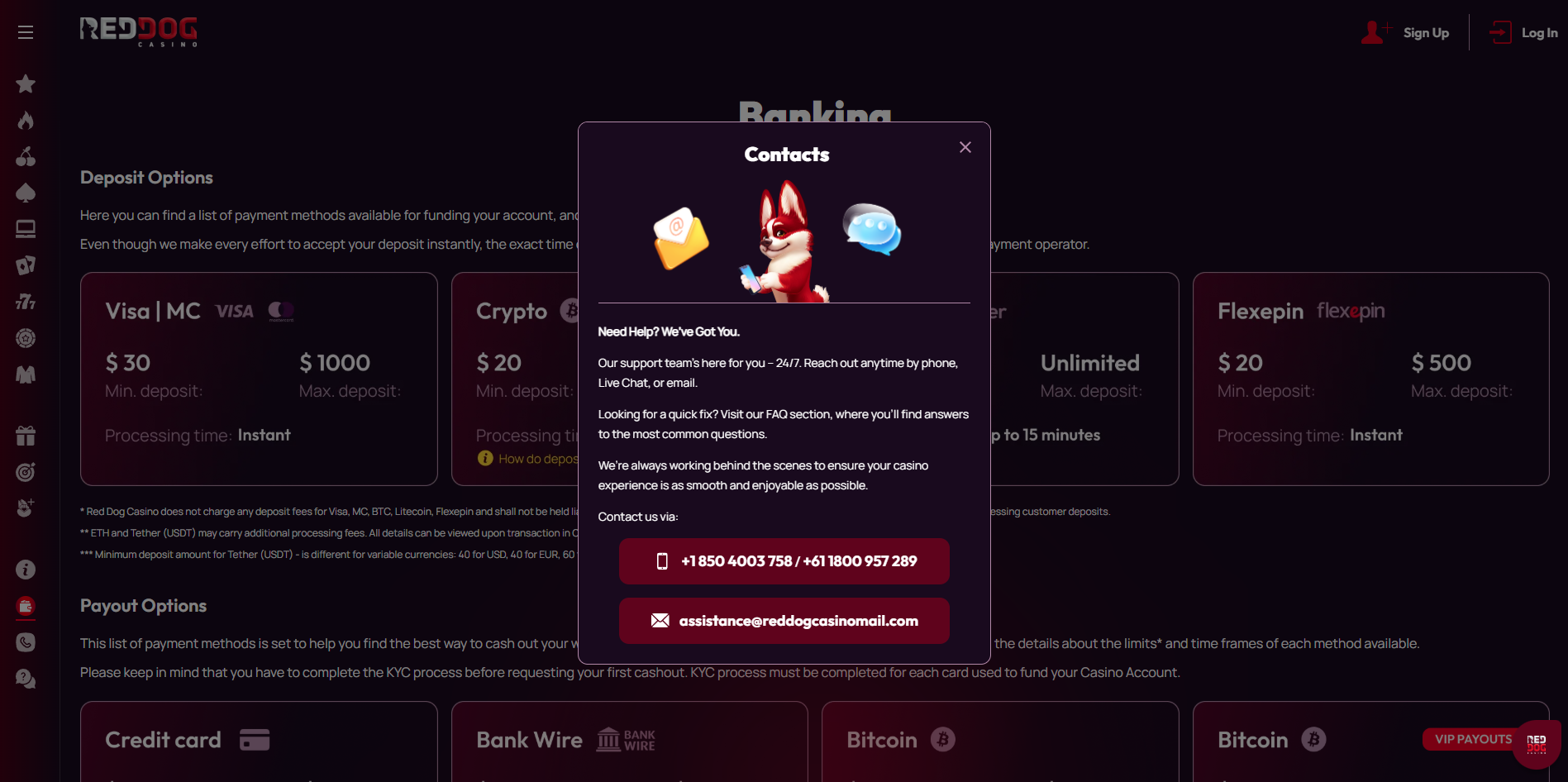 User Experience: Interface, Mobile Play, and Support